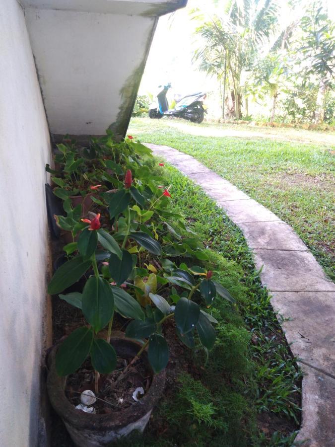 Field Island Villa - Ahangama Ngoại thất bức ảnh