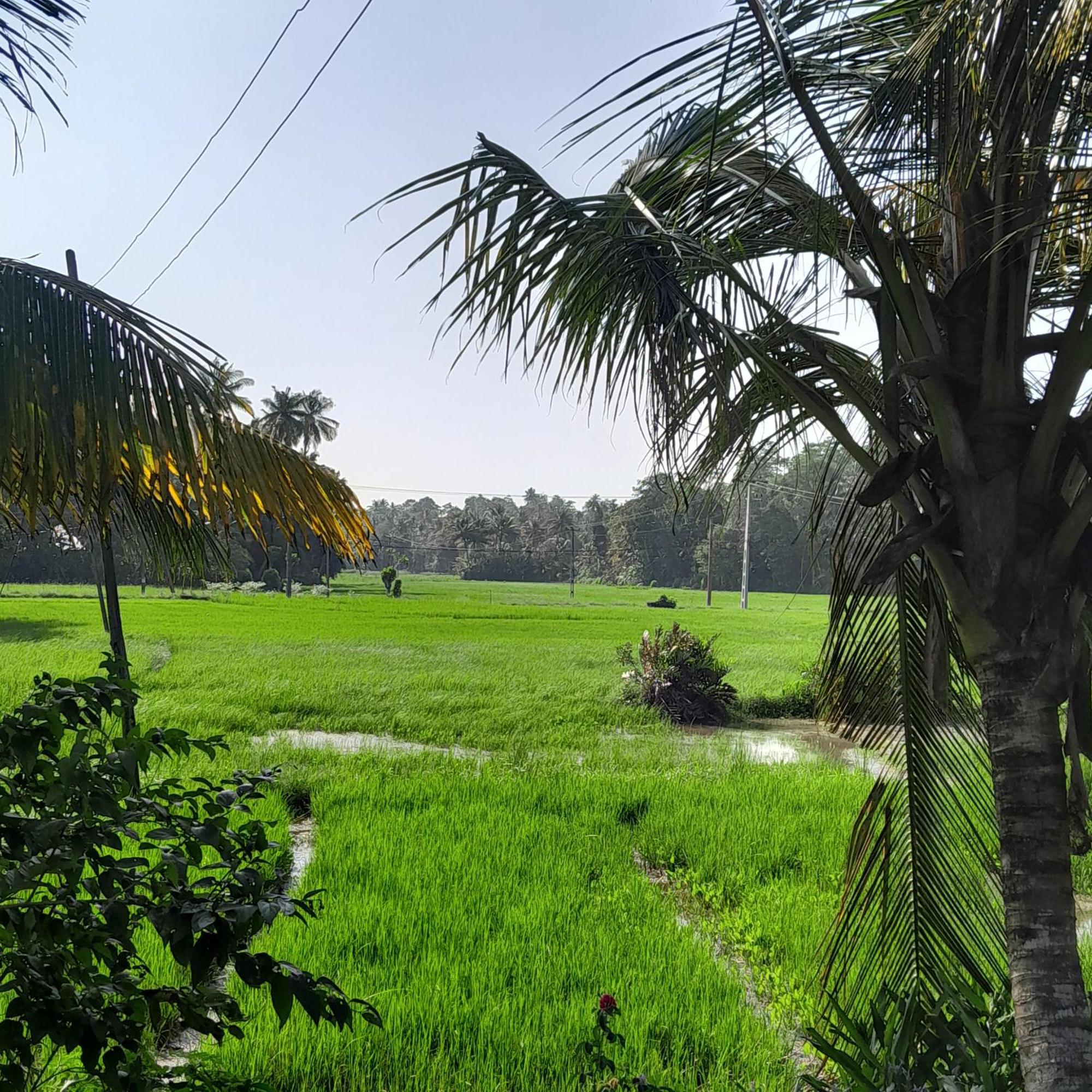 Field Island Villa - Ahangama Phòng bức ảnh