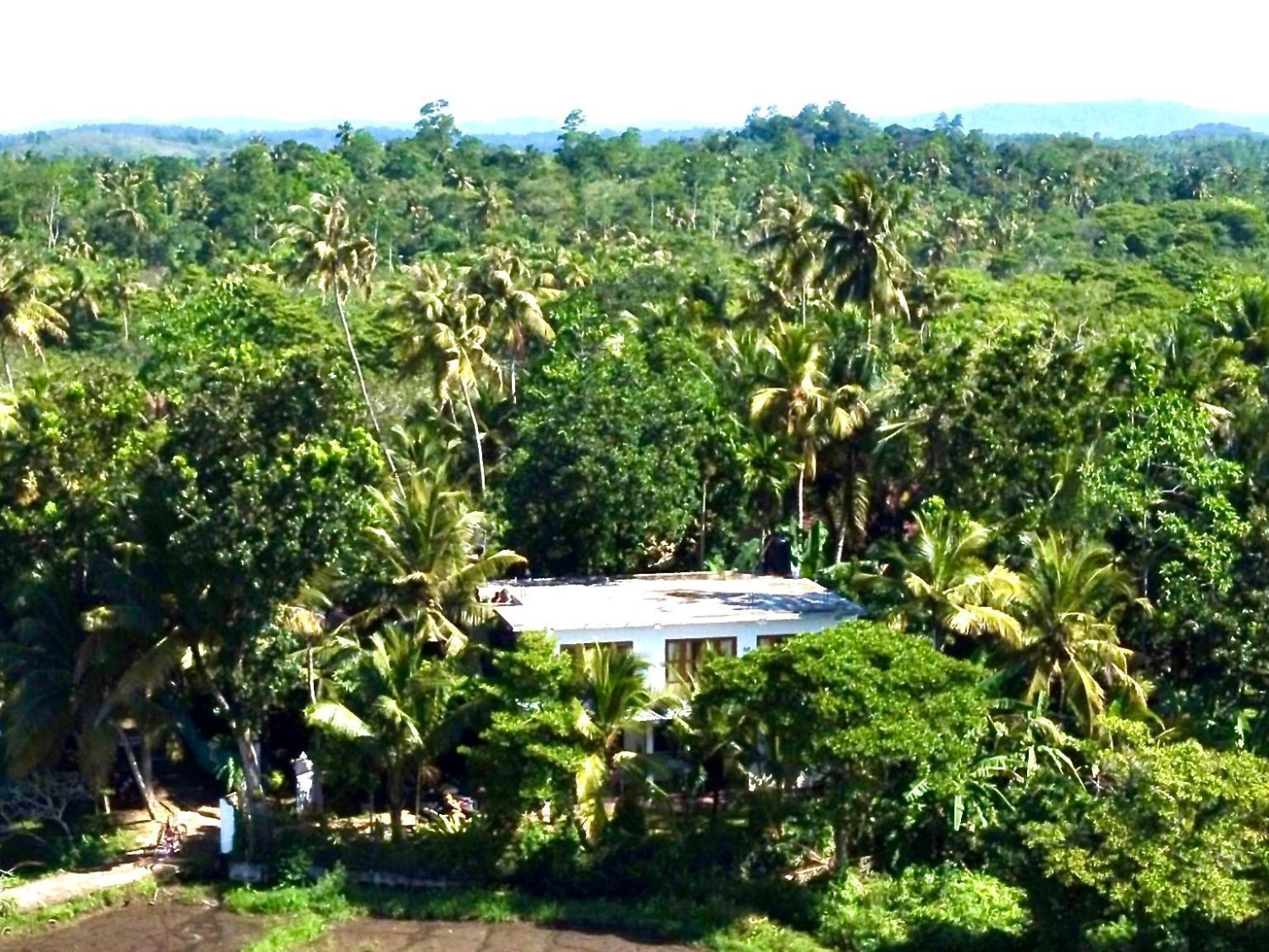 Field Island Villa - Ahangama Ngoại thất bức ảnh