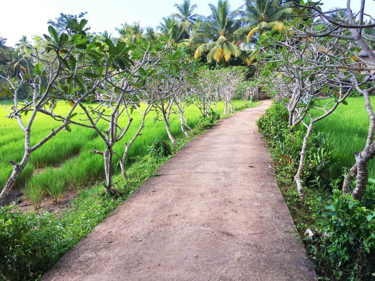 Field Island Villa - Ahangama Ngoại thất bức ảnh