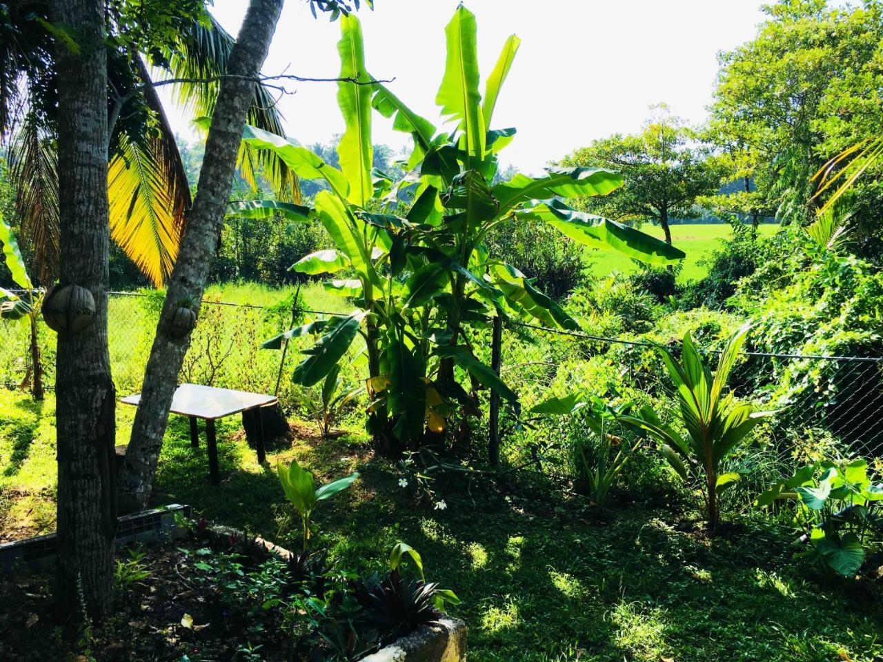 Field Island Villa - Ahangama Ngoại thất bức ảnh