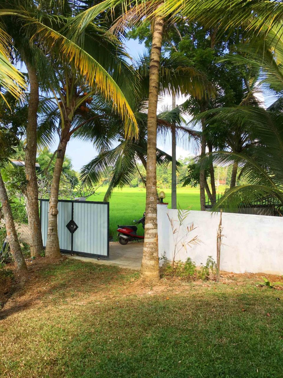 Field Island Villa - Ahangama Ngoại thất bức ảnh