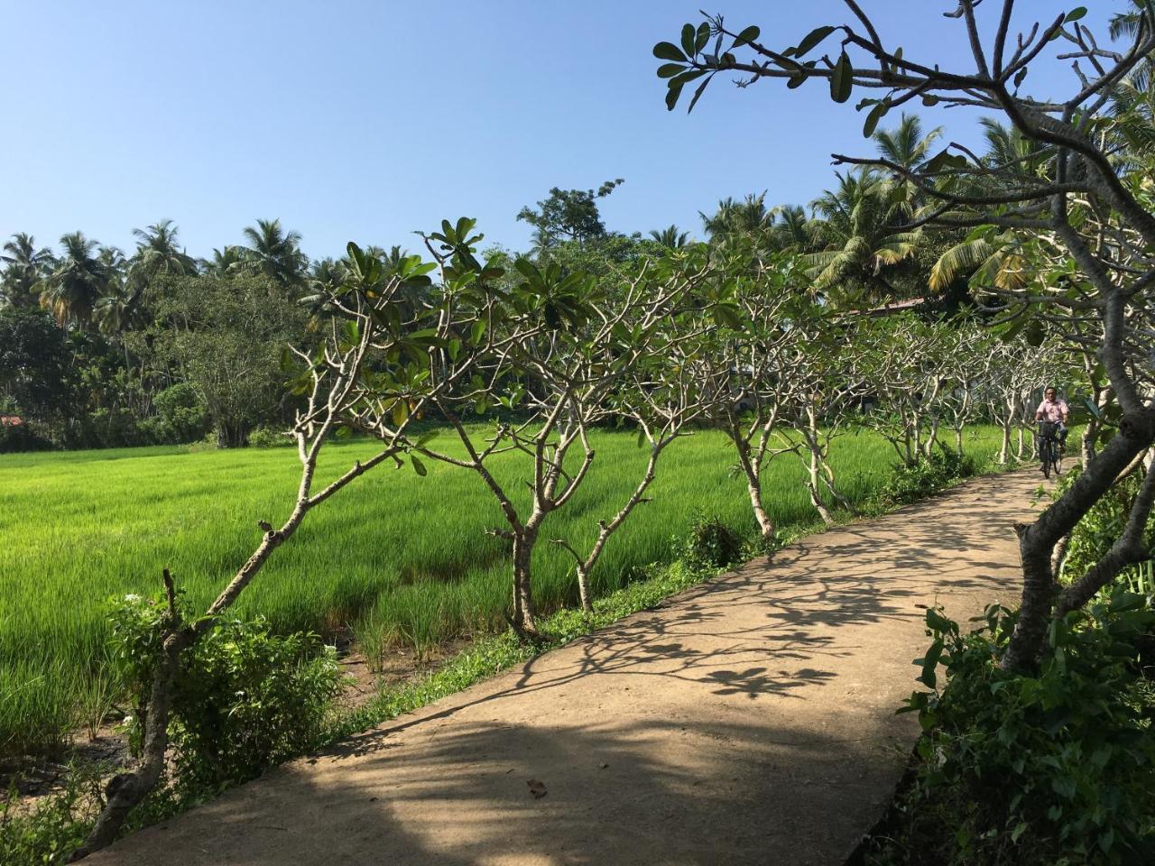 Field Island Villa - Ahangama Ngoại thất bức ảnh