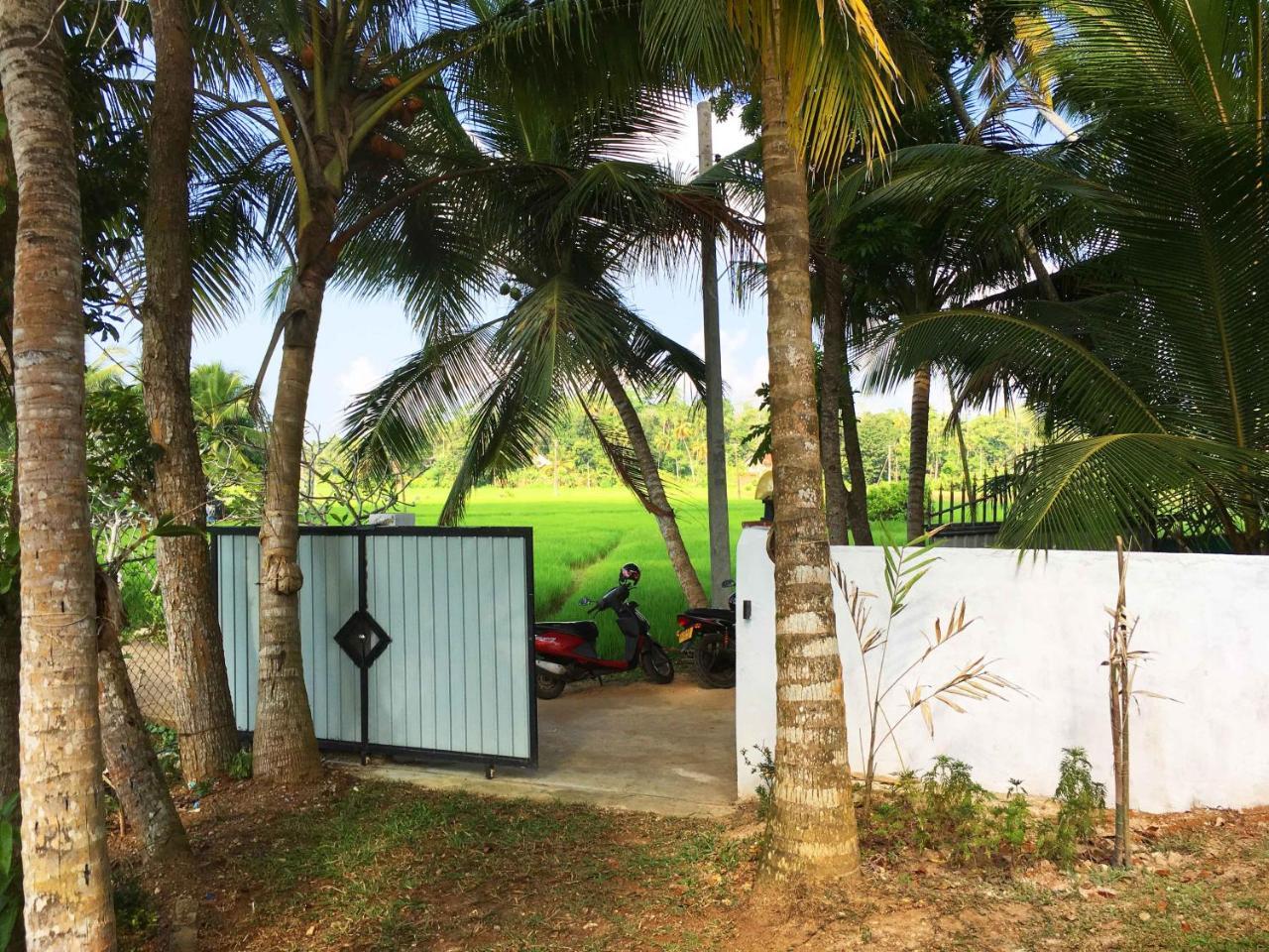 Field Island Villa - Ahangama Ngoại thất bức ảnh