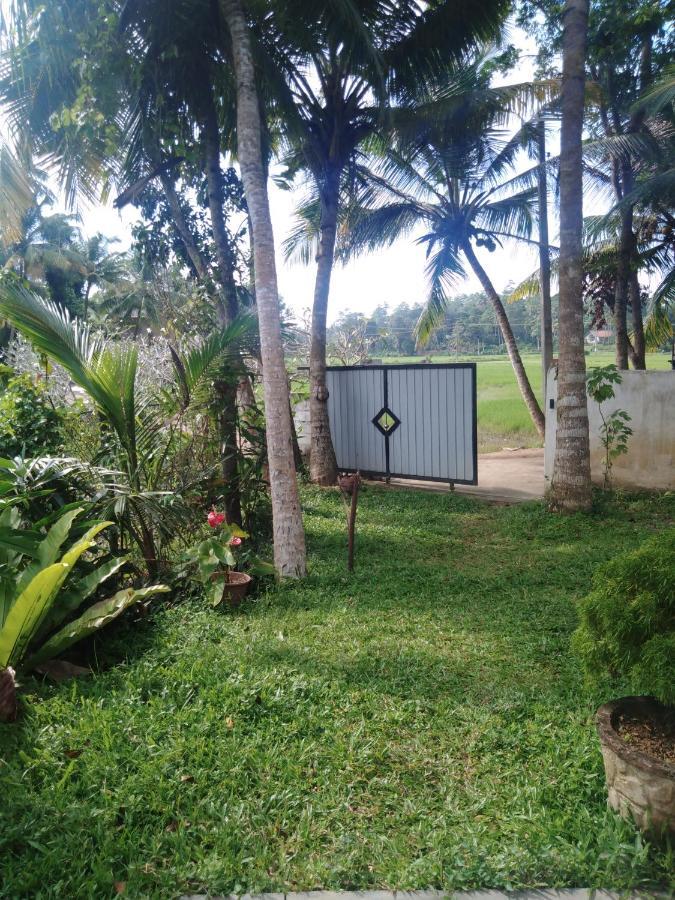 Field Island Villa - Ahangama Ngoại thất bức ảnh