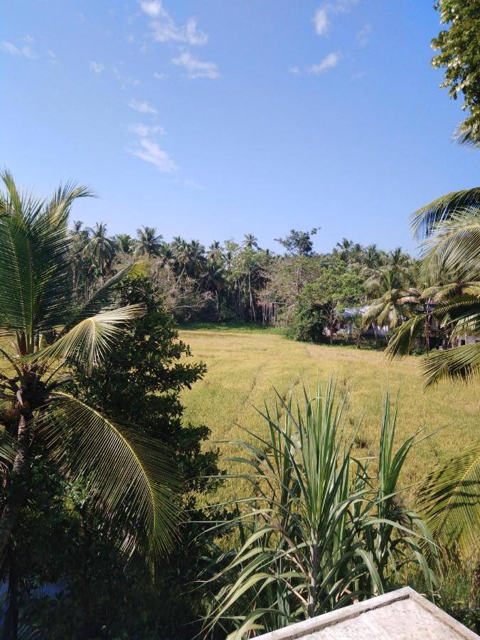 Field Island Villa - Ahangama Ngoại thất bức ảnh